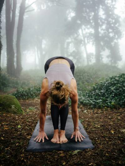 yoga_forest_bathing